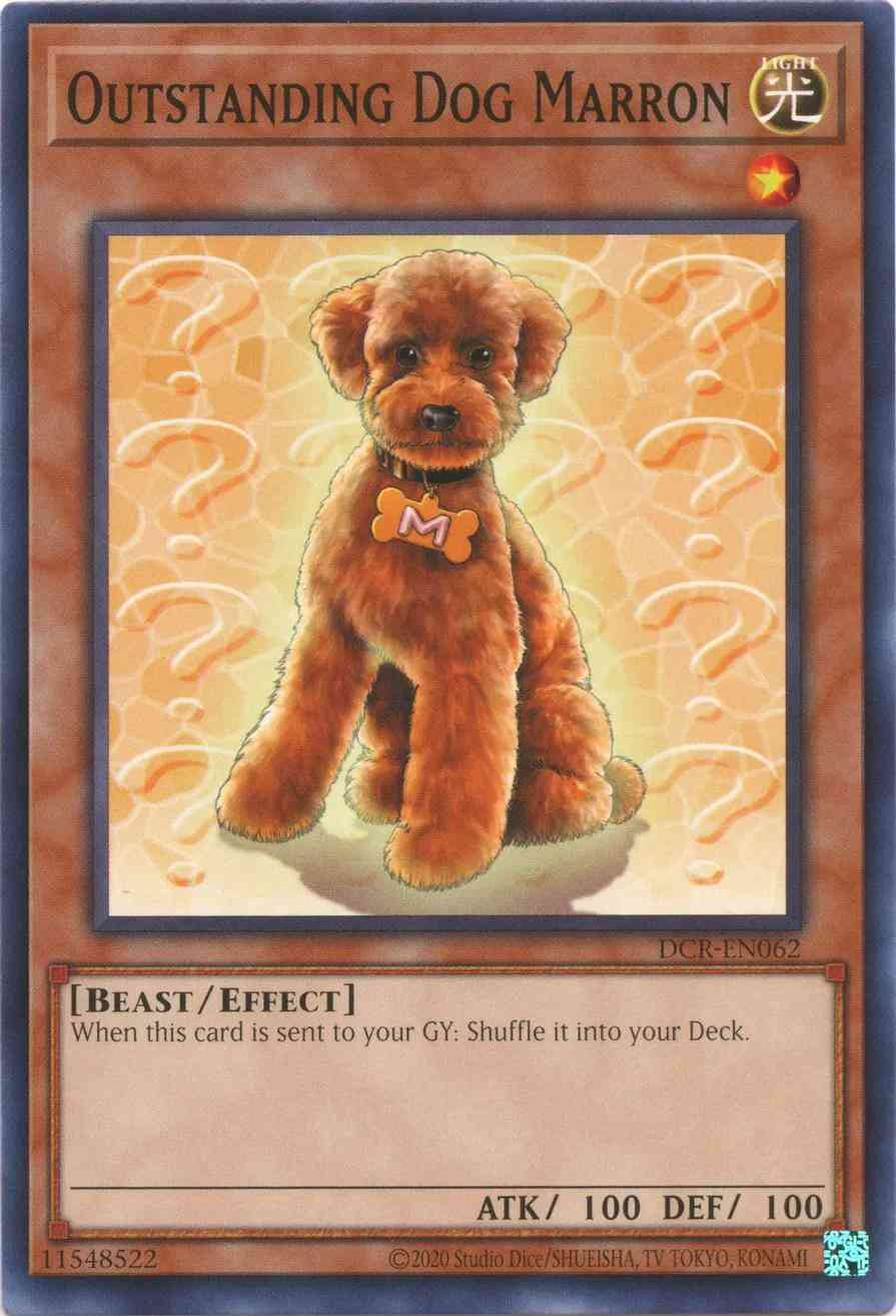 Outstanding Dog Marron - 25th Anniversary - DCR-EN062 - Common - Unlimited