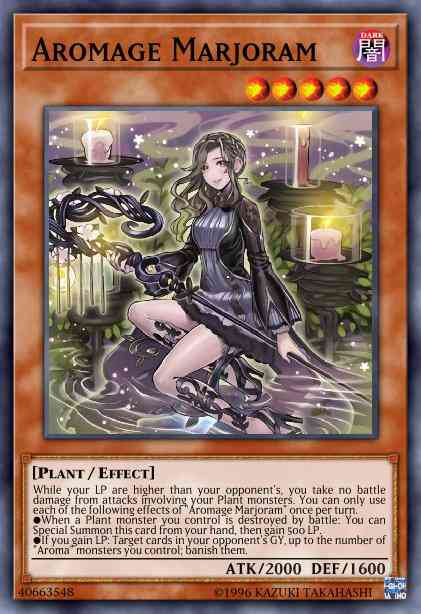 Aromage Marjoram - CHIM-EN018 - Common - 1st Edition