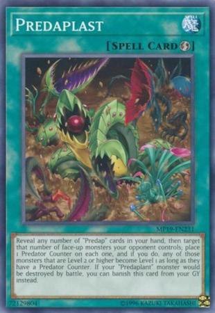 Predaplast - MP19-EN231 - Common - Unlimited
