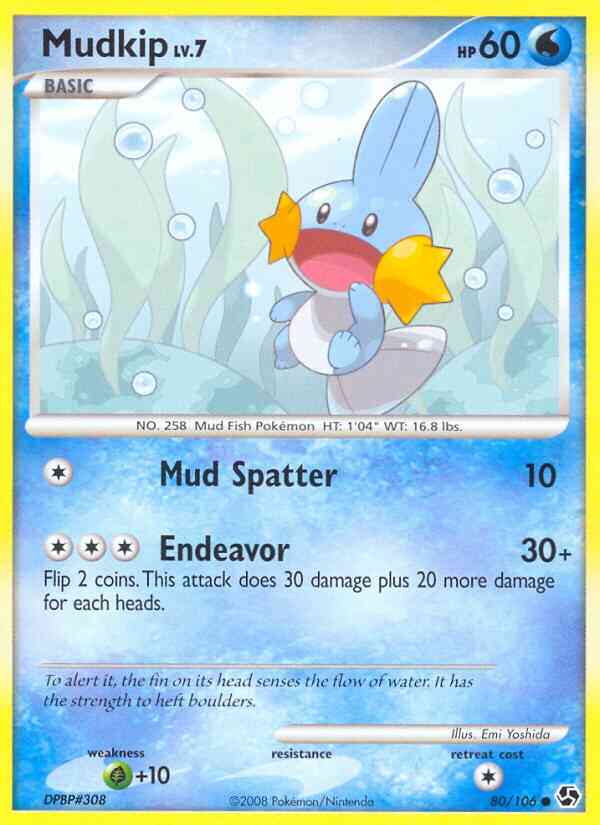 Mudkip - 80/106