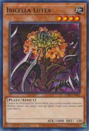 Ibicella Lutea - VASM-EN052 - Rare - 1st Edition