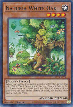 Naturia White Oak - HAC1-EN115 - Duel Terminal Normal Parallel Rare - 1st Edition