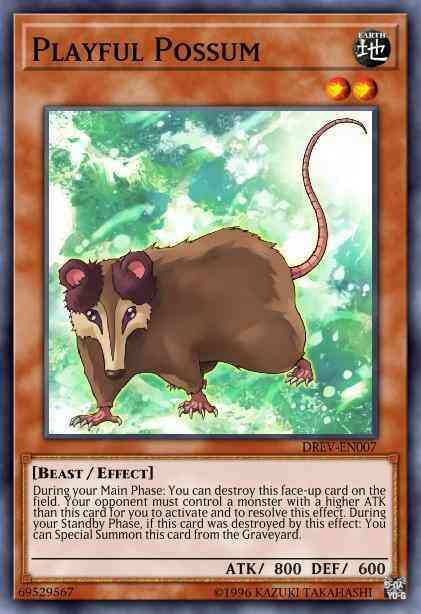 Playful Possum - DREV-EN007 - Rare - 1st Edition