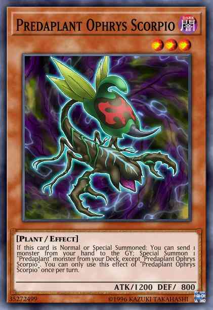 Predaplant Ophrys Scorpio - OP06-EN016 - Common - Unlimited