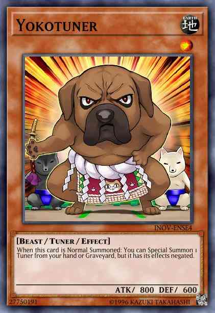 Yokotuner - RATE-EN031 - Common - Unlimited