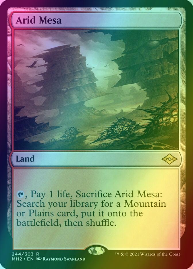 Arid Mesa [244] [Modern Horizons 2] [Foil] – Face to Face Games