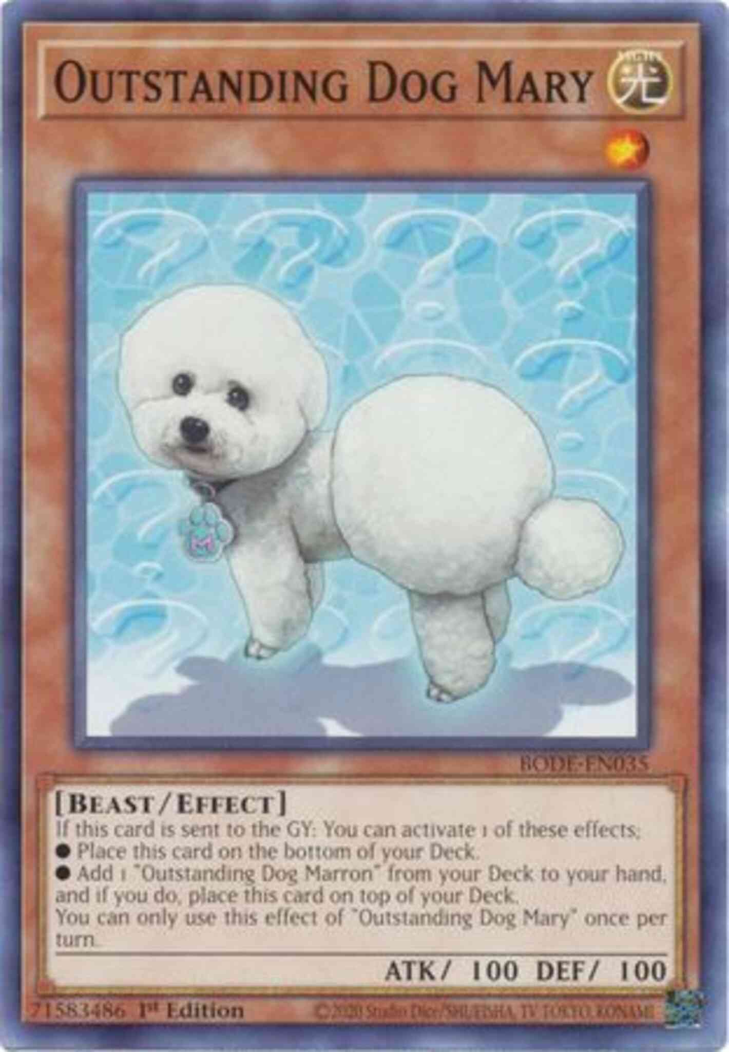 Outstanding Dog Mary - BODE-EN035 - Common - 1st Edition