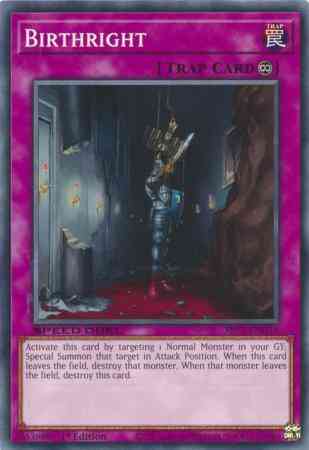 Birthright - SBC1-ENG18 - Common - 1st Edition