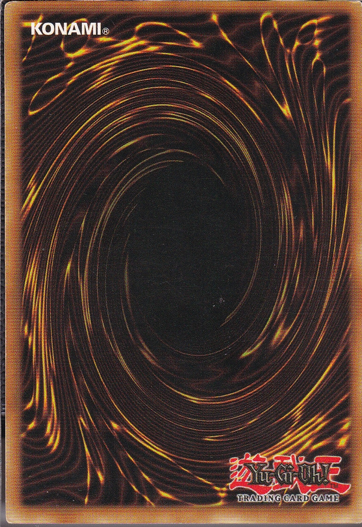 SIN-SCAN-12853