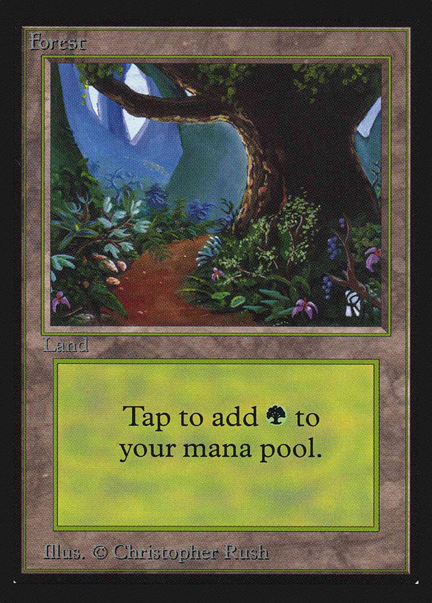 Forest [Path] [301] [Intl Collectors Edition] [Non-Foil]