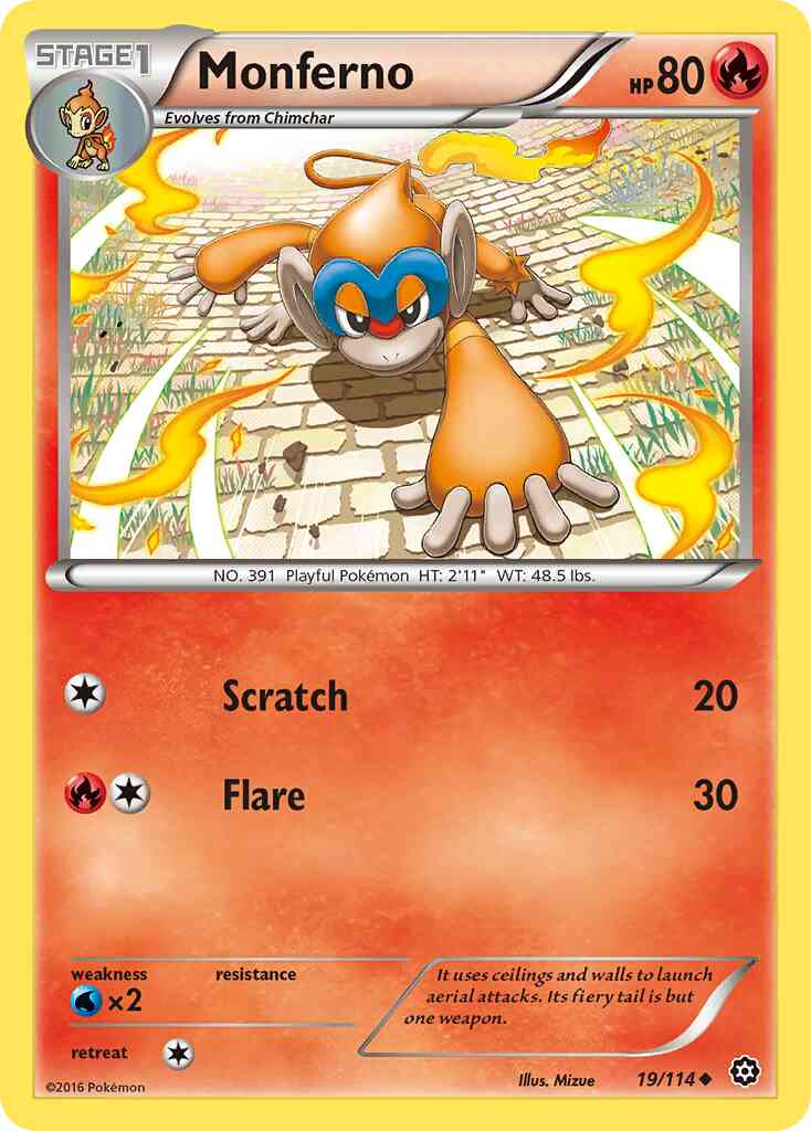 Monferno - 19/114 - Uncommon [xy11-19] [Reverse Holo]