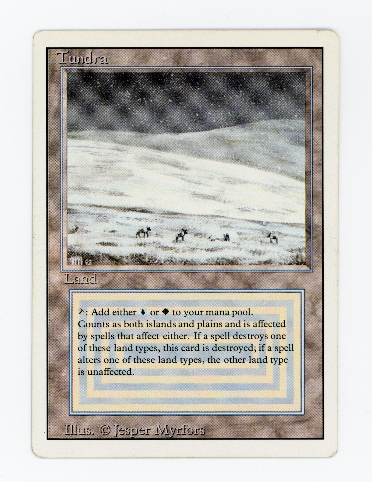 Tundra — ID 19564