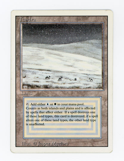 Tundra — ID 19564