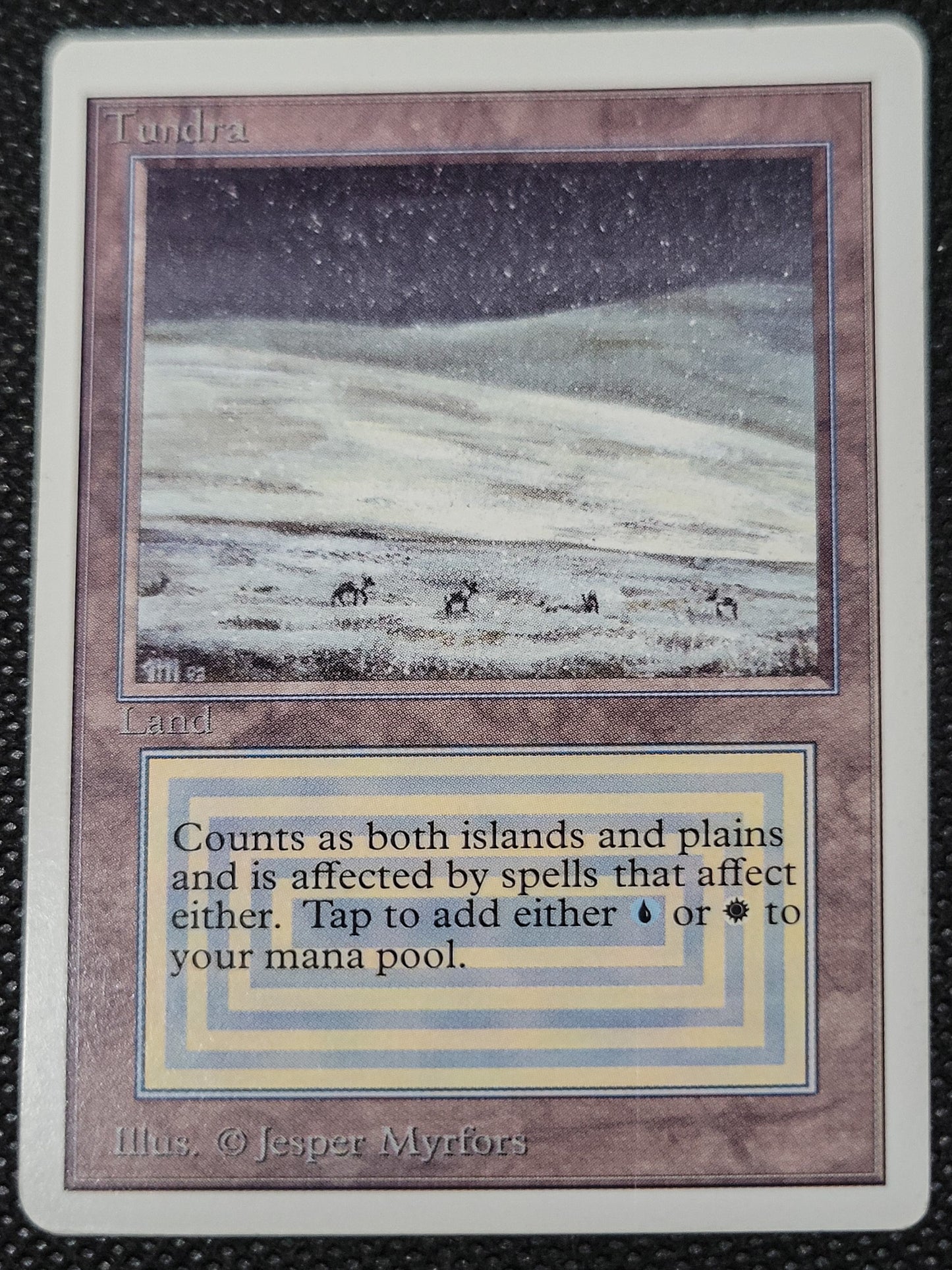 Tundra — ID 16975