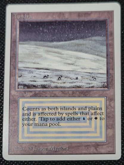 Tundra — ID 16975
