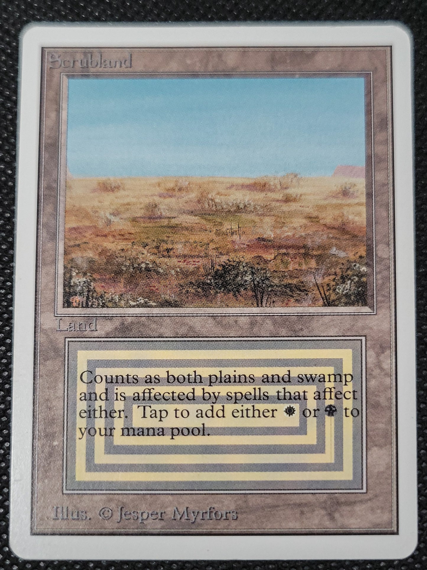 Scrubland — ID 16950