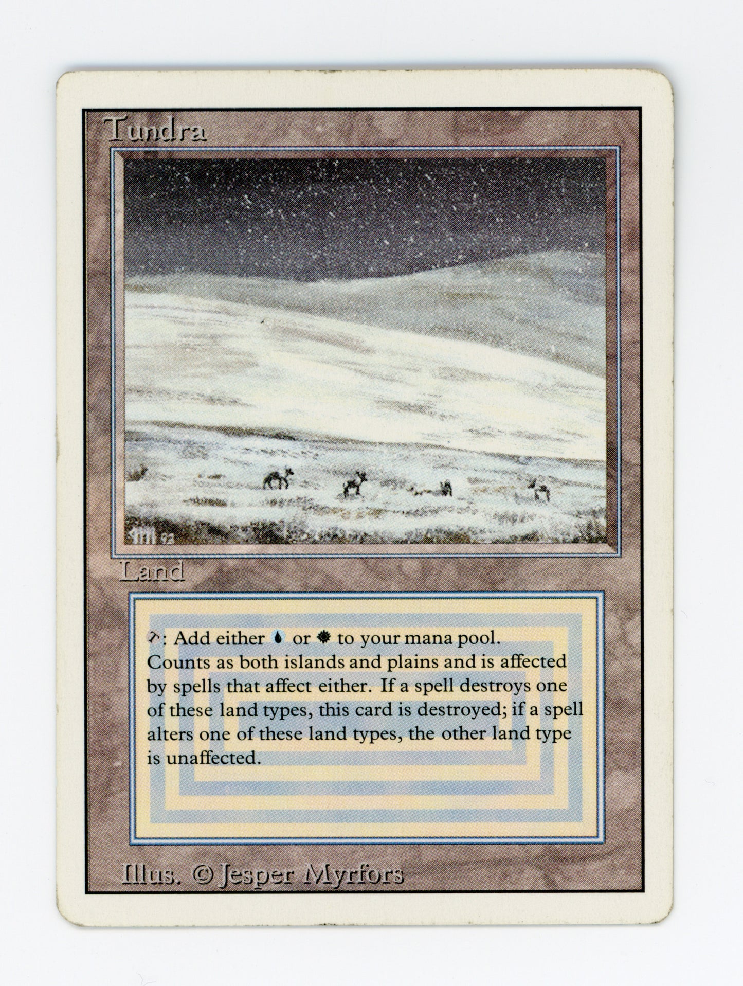 Tundra — ID 19911