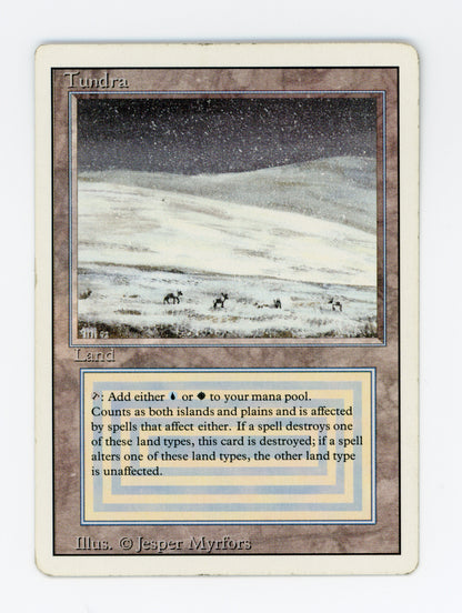 Tundra — ID 19911