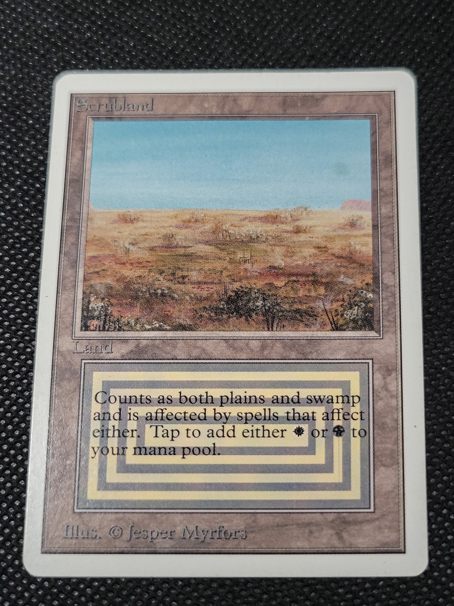 Scrubland — ID 16948