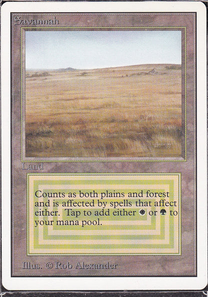 SIN-SCAN-11801