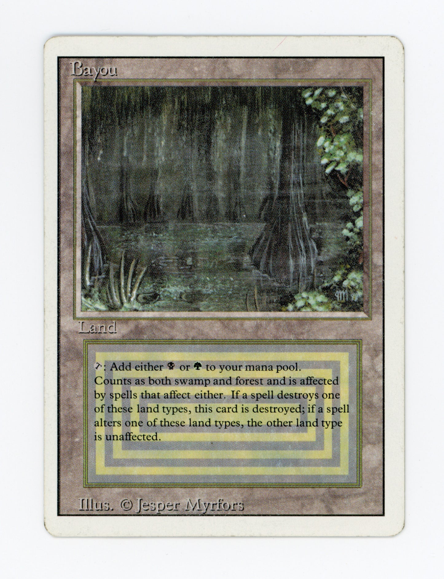 Bayou — ID 19781