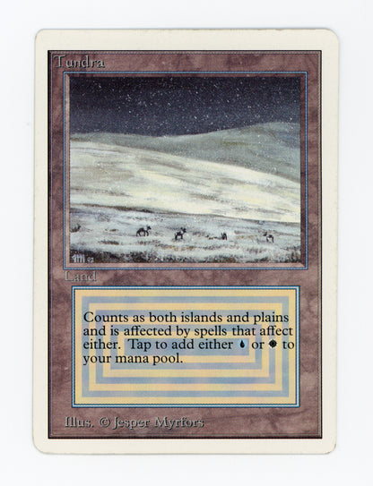 SIN-SCAN-16975