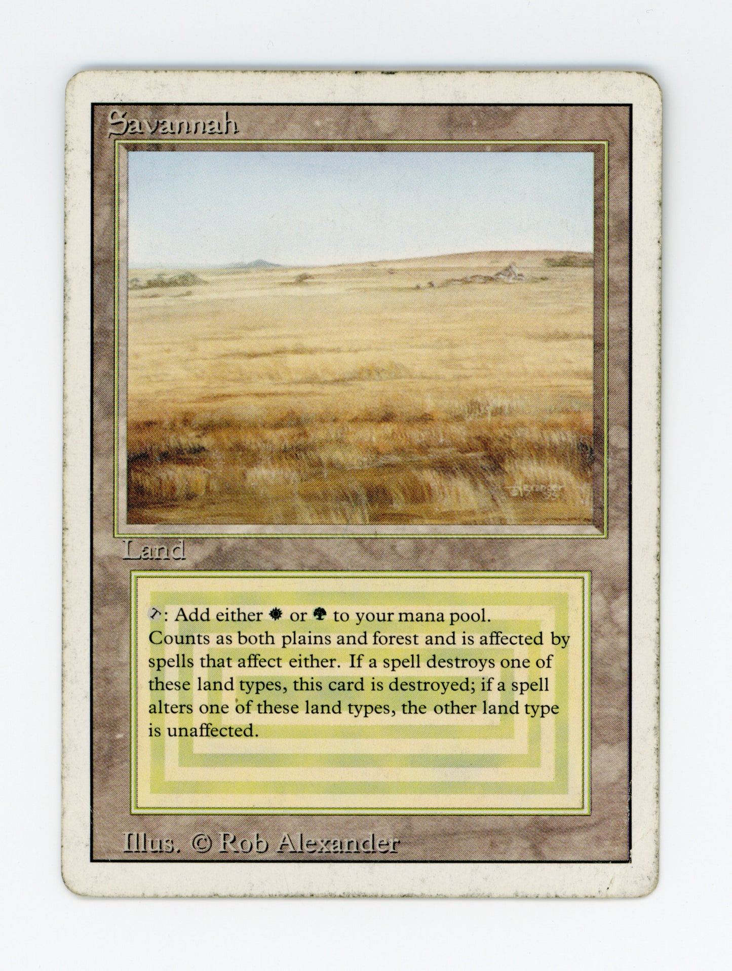 Savannah — Damaged — ID 20014