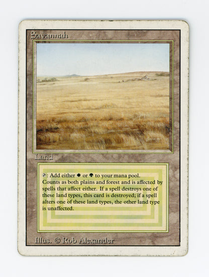 Savannah — Damaged — ID 20014