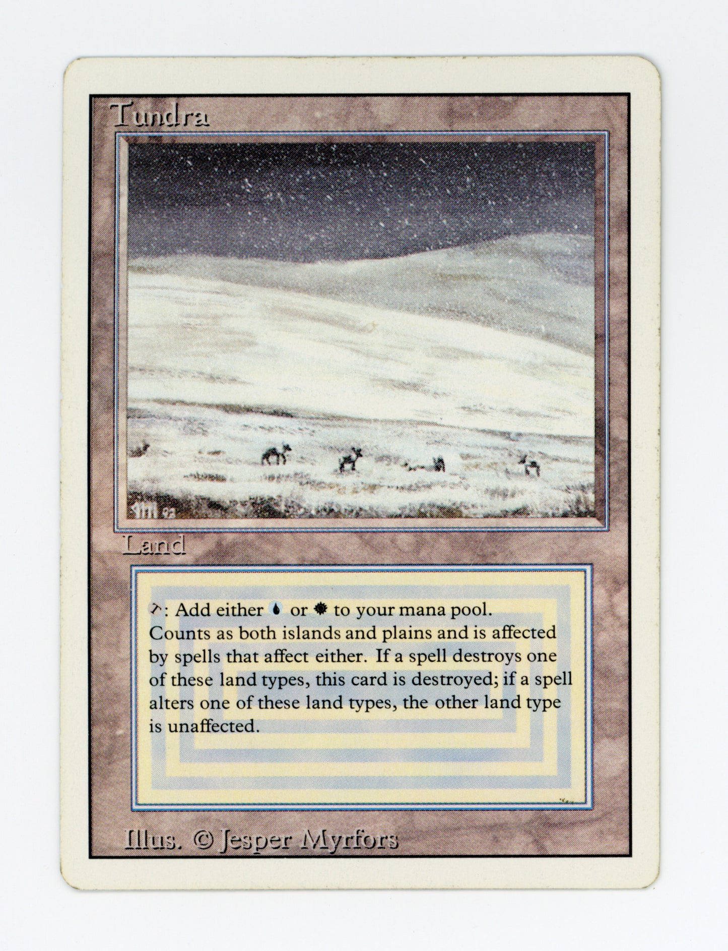 Tundra — ID 17095