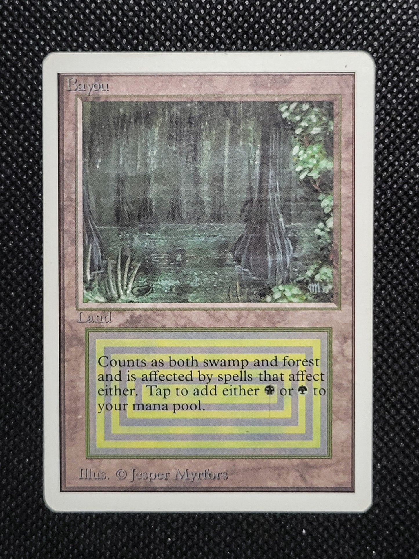 Bayou — ID 17002