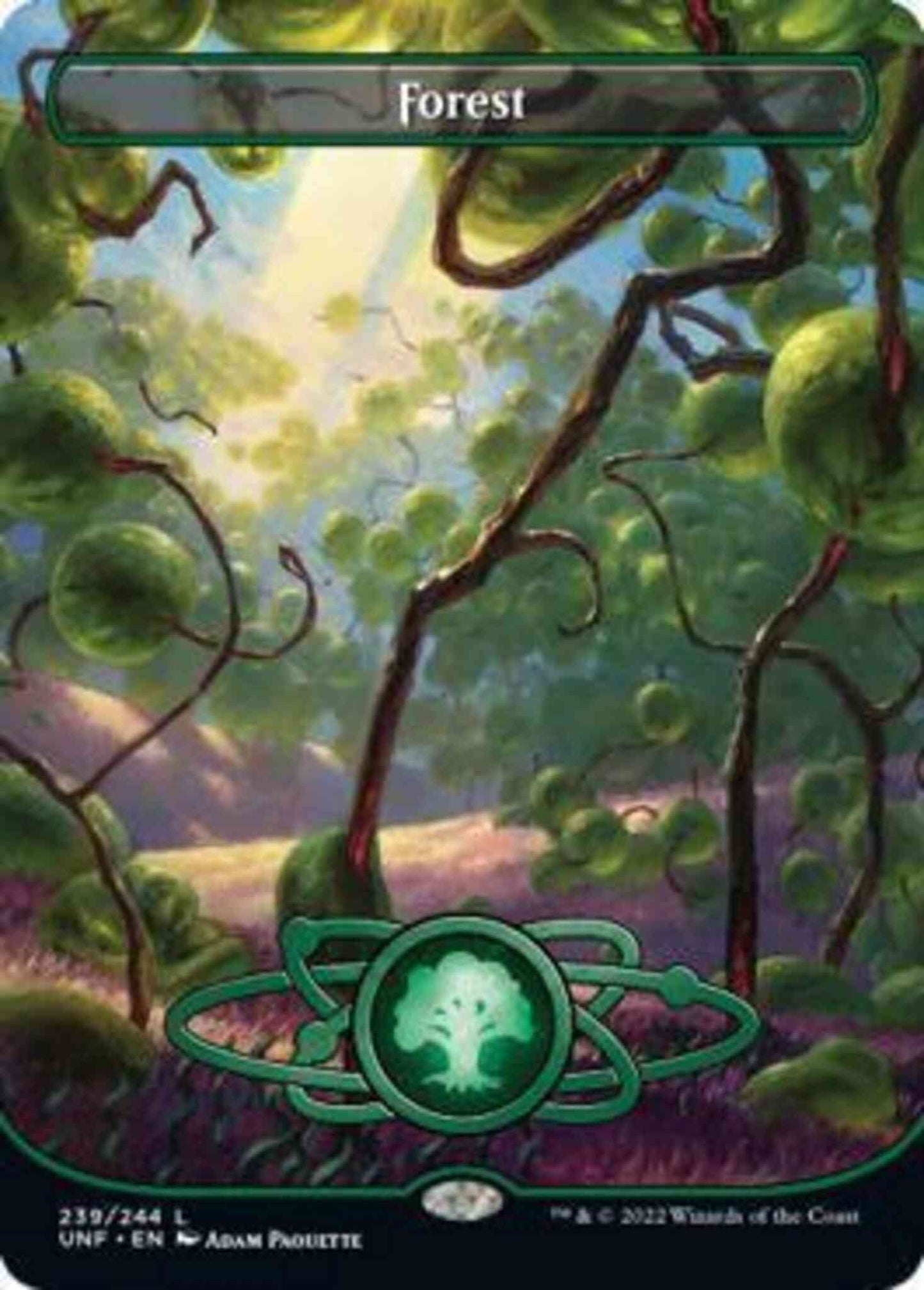 Forest [239] [Borderless] [Planetary] [Unfinity] [Non-Foil]