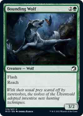 Bounding Wolf [170] [Innistrad: Midnight Hunt] [Non-Foil]