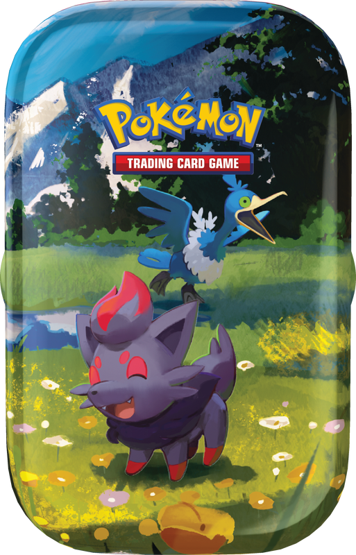 SEA-TIN-PKM-10-10318-138-ZORUA