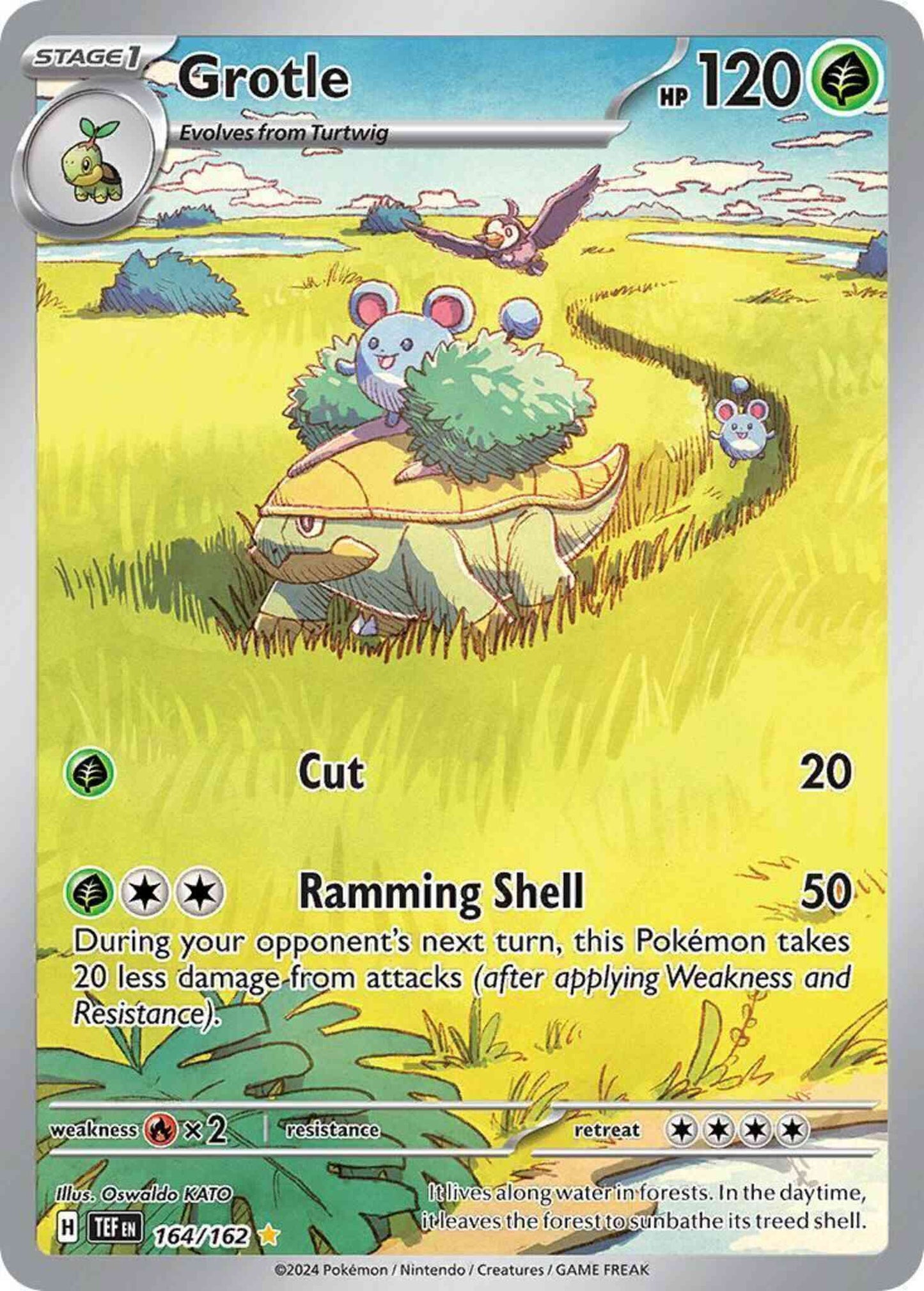 Grotle - 164/162 - Illustration Rare [sv05-164] [Ultra]