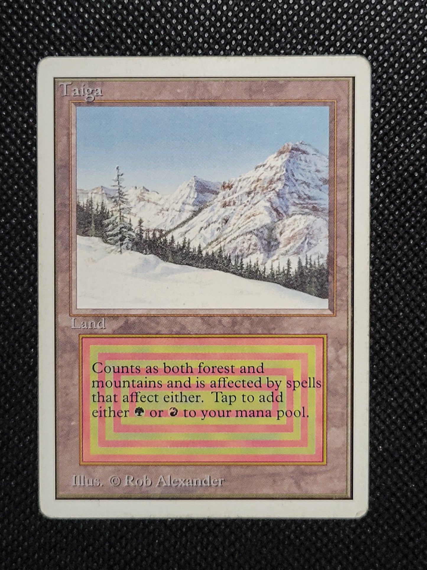 Taiga — ID 16960