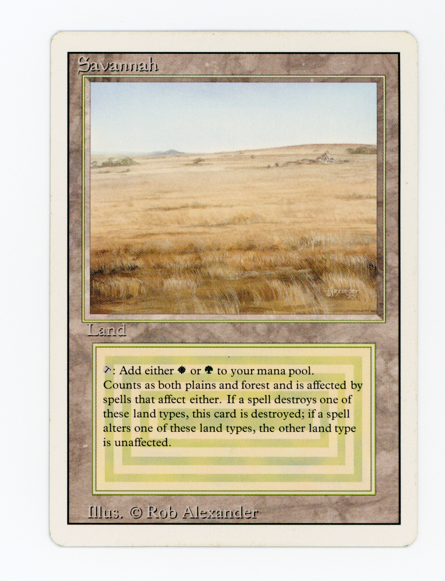 SIN-SCAN-16409