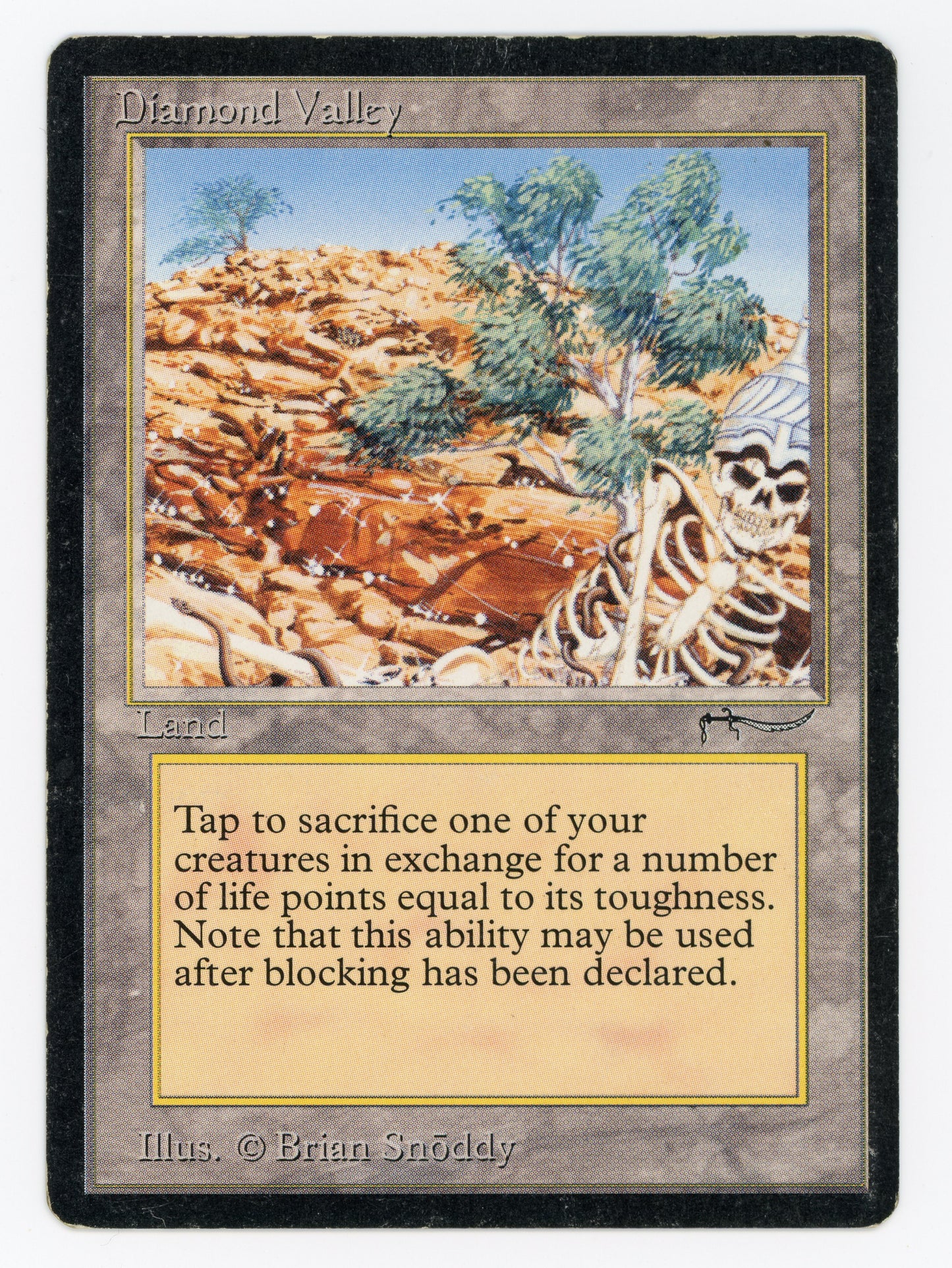 SIN-SCAN-13786