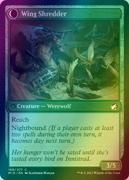 Bird Admirer // Wing Shredder [169] [Innistrad: Midnight Hunt] [Foil]