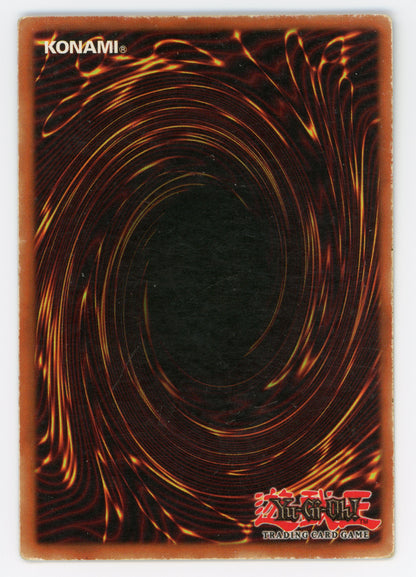 SIN-SCAN-15955
