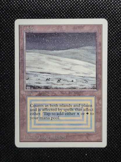 Tundra — ID 16976
