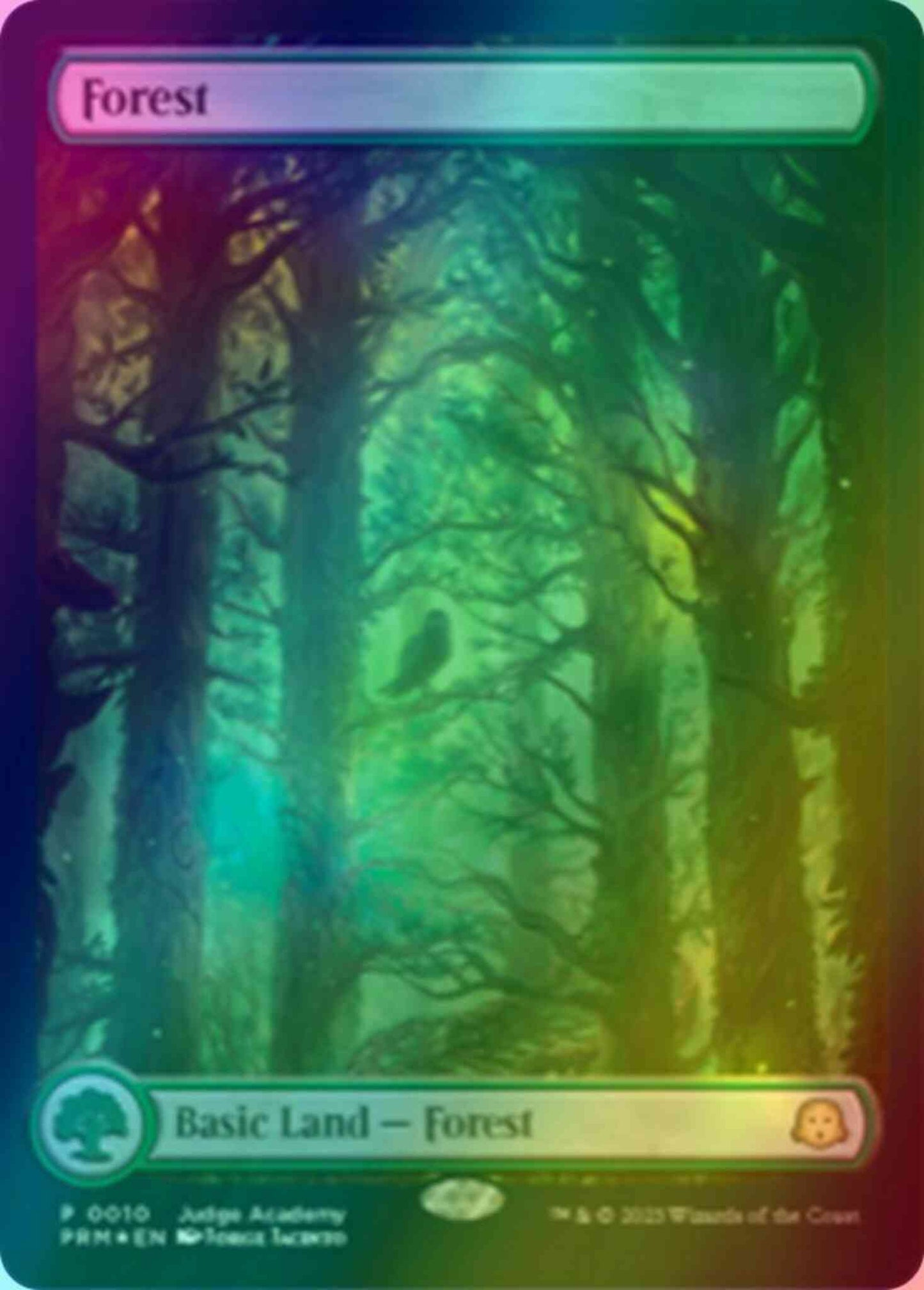 Forest [2023] [10] [Full Art] [Judge Gift Cards 2023] [Foil]