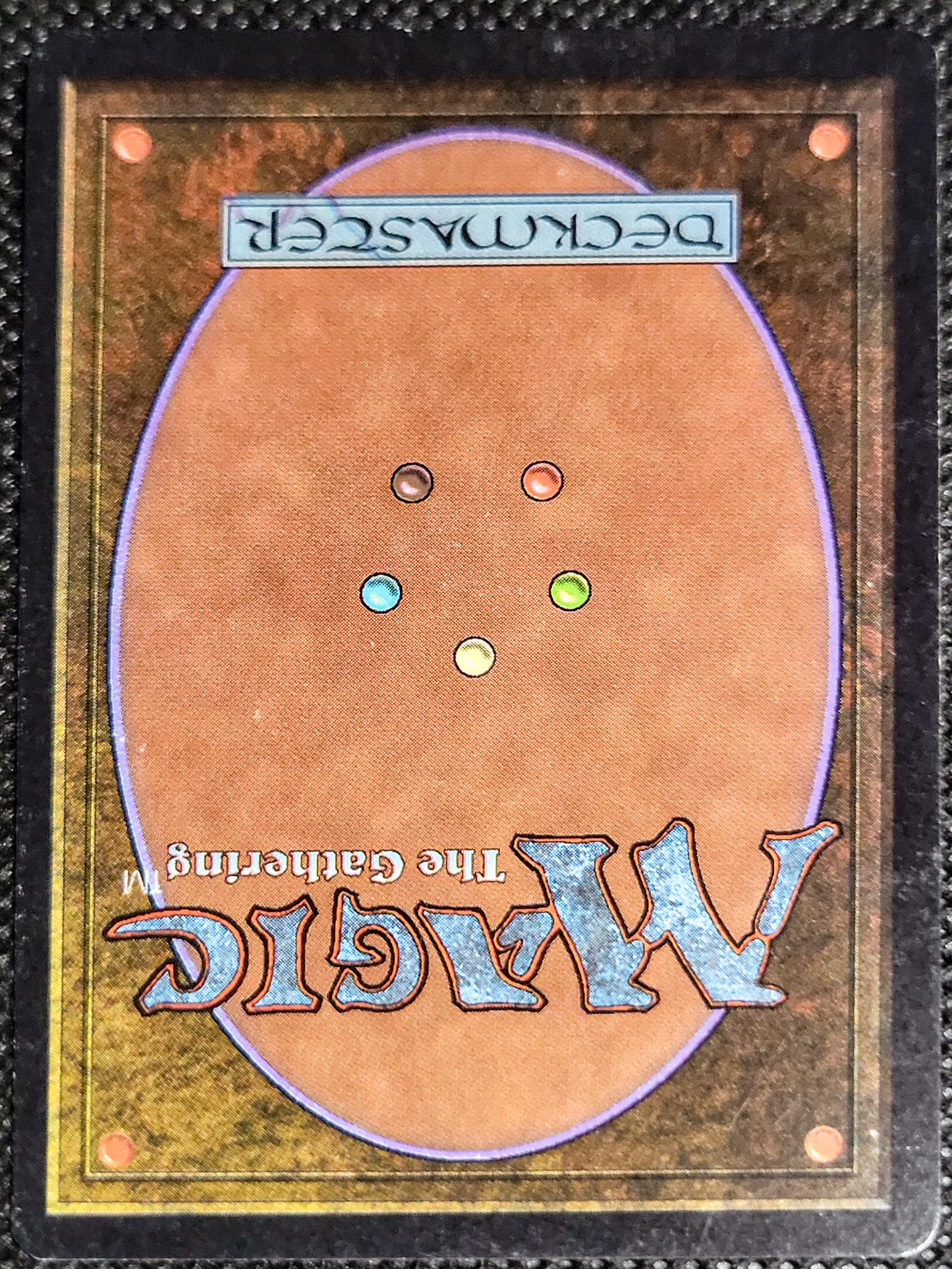 SIN-SCAN-16556_f