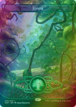 Forest [239] [Borderless] [Planetary] [Unfinity] [Foil]