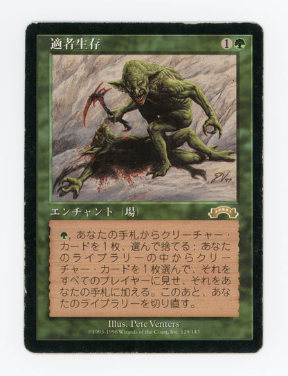 Survival of the Fittest — Japanese — ID 17956