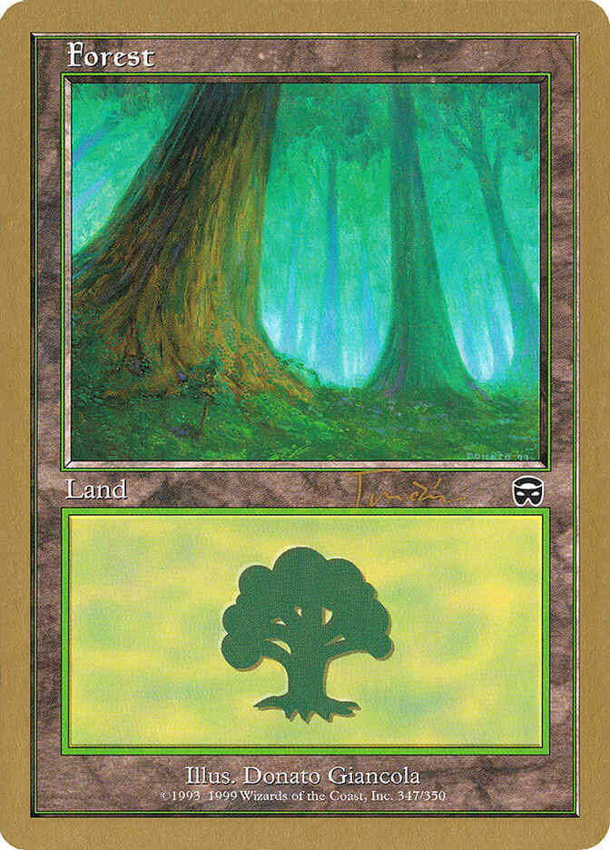 Forest [jt347a] [347] [Masques Set Symbol] [World Championship Decks 2001] [Non-Foil]