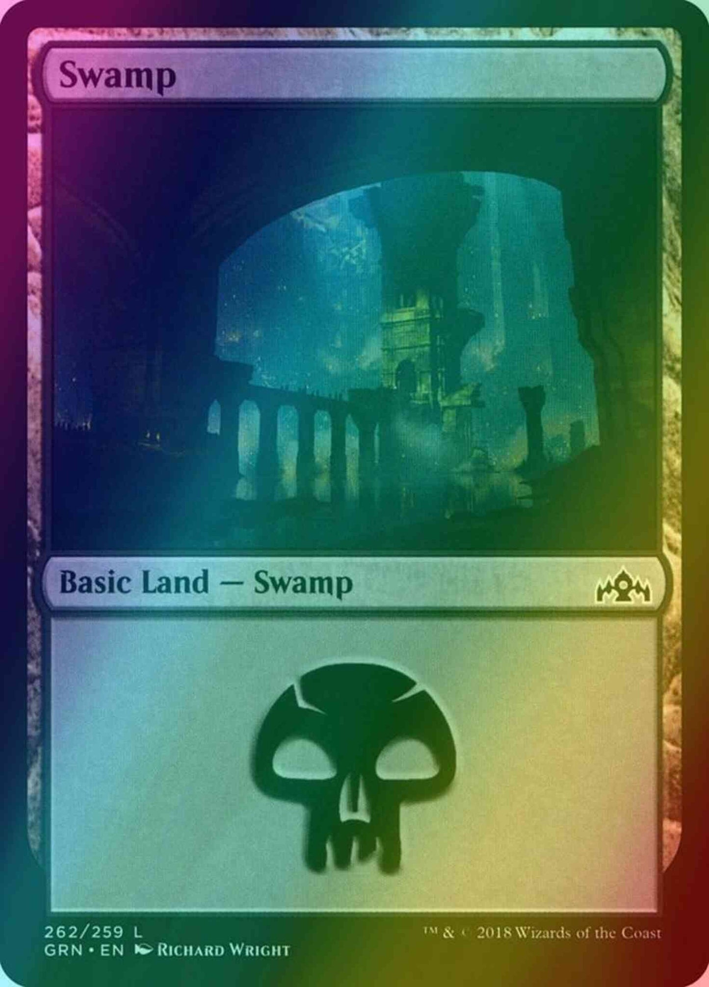 Swamp [262] [Guilds of Ravnica] [Foil]