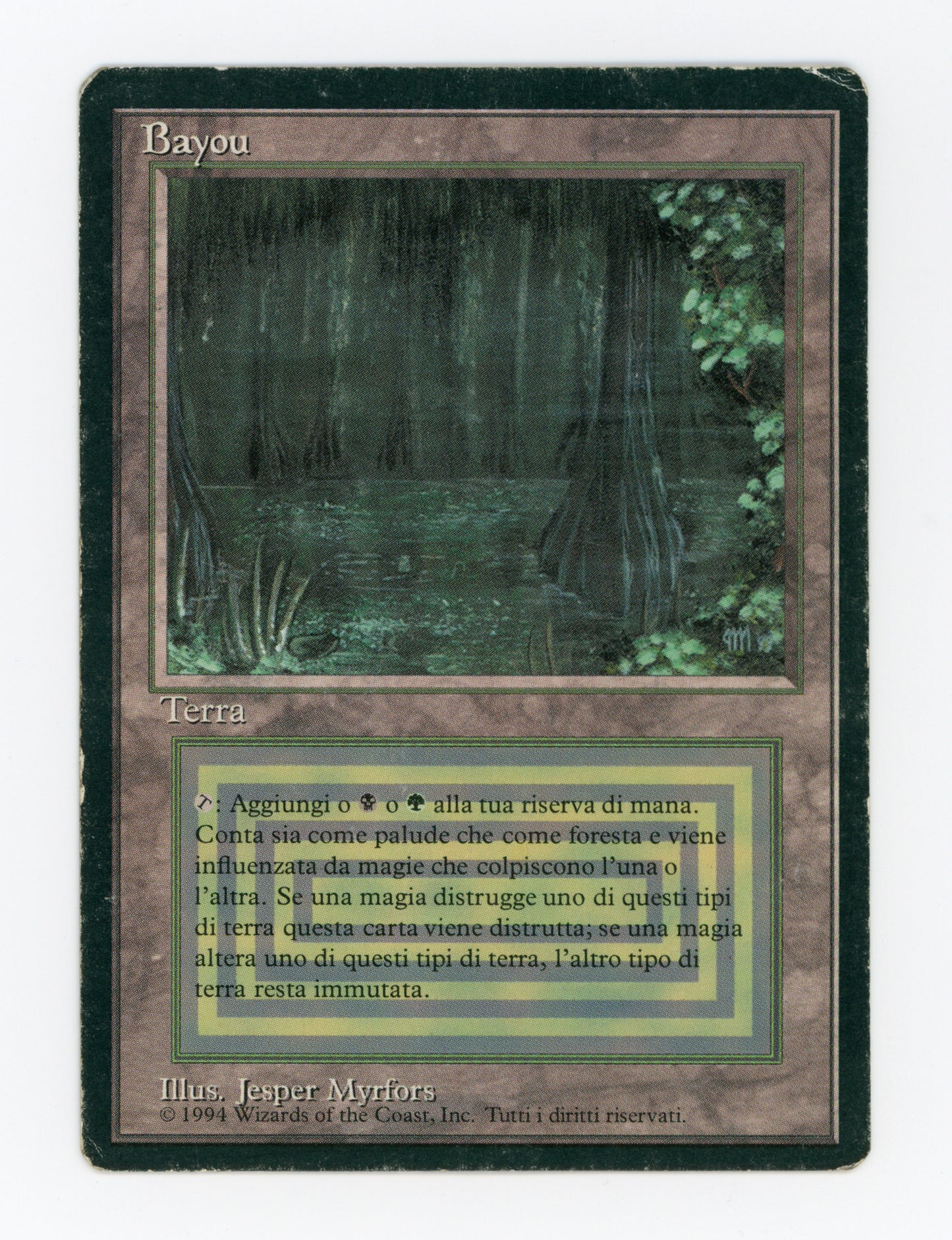Bayou — Italian — ID 18878
