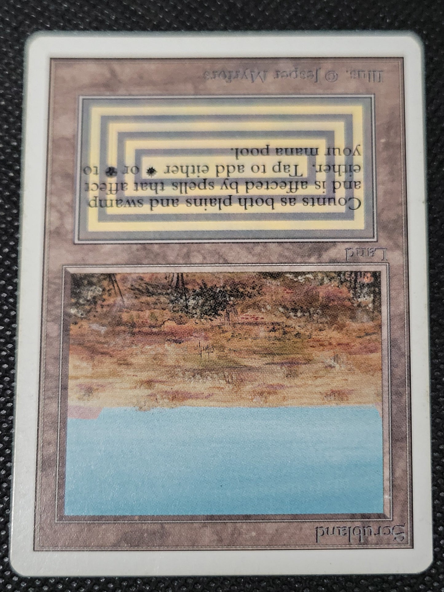 Scrubland — ID 16949