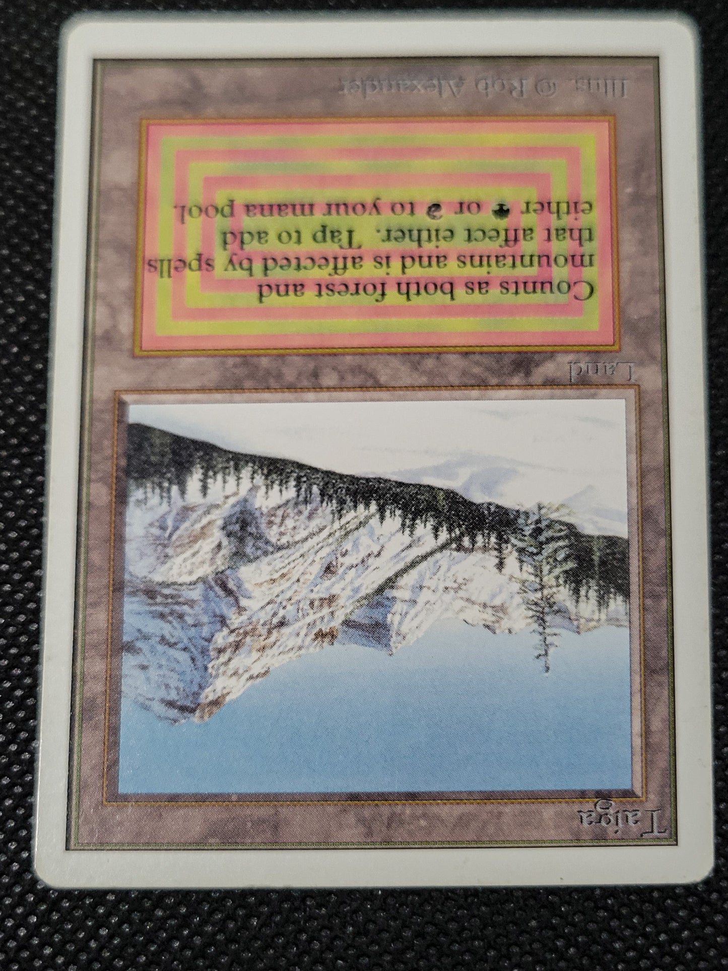 Taiga — Damaged — ID 16959