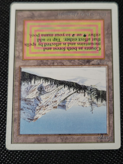 Taiga — Damaged — ID 16959